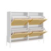 Algglobuy Large Shoe Cabinet Storage with 4 Flip Drawers, Rattan