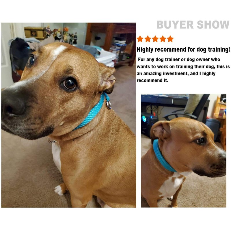 Mycicy Reflective Dog Choke Collar, Soft Nylon Training Slip Collar