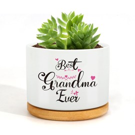 Grandma Gifts,Gifts for Grandma,Grandma Birthday Gifts,Succulent Pots Gifts,Presents for Grandma,Best Grandma Gifts,Grandma Gifts from Grandchildren,Grandma Mothers Day Gift,Grandma Christmas Gifts