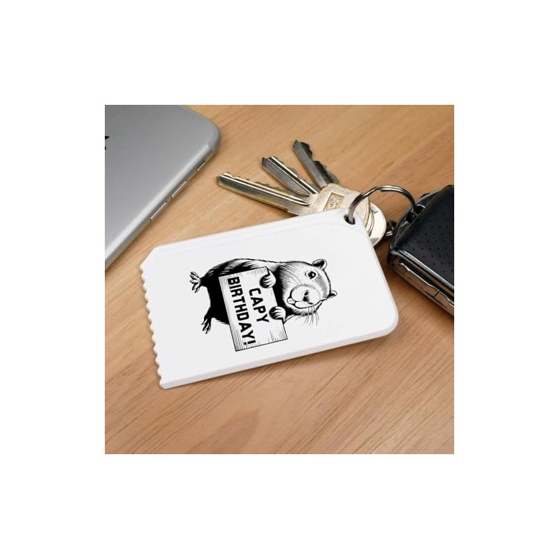 Azeeda 'Birthday Capybara' Plastic Ice Scraper (IC00042385)