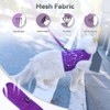 Yizhi Miaow Cat Harness and Leash for Walking Escape Proof