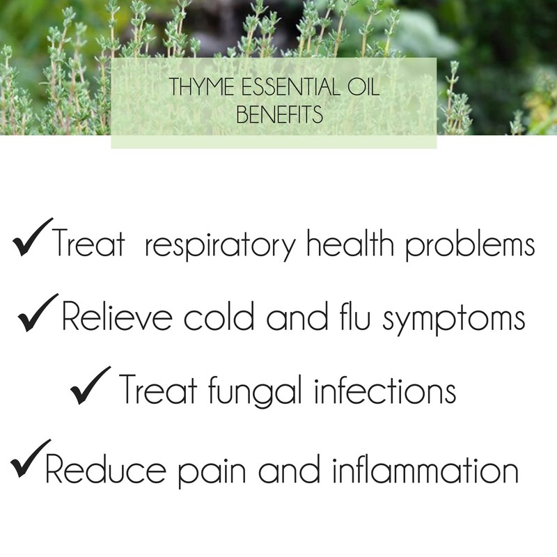 purelyBlack Thyme Essential Oil [ Thymes Vulgaris ] 10 ml