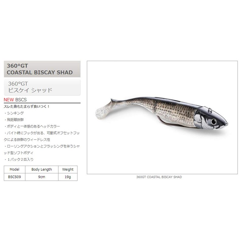 Biscay SHAD 9 Mount (2) SDL