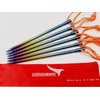 Goshawk 6 Pcs Titanium Outdoor Camping Trip Heavy Duty Tent