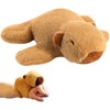 LIURFLNC 1 x Capybara Cuddly Toy, Water Pig, Capybara Gift