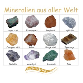 Janni-Shop Mineralien Rohsteine Edelsteine Sammlung 12 Stück einzeln benannt z.B. Rosenquarz Amethyst Bergkristall u.a.