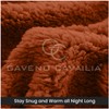 GC GAVENO CAVAILIA Teddy Bear Double Fitted sheet | Fleece