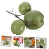 HOOTNEE 1 Bunch Artificial Coconut Fruits Photo Prop Hawaiian Coconut