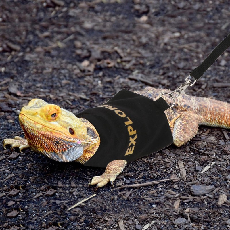 Hypeety Bearded Dragon Harness and Leash Set Adjustable Escape Proof