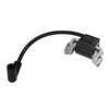 Ignition Coil Set Replacement Auto Parts With Plug For Briggs
