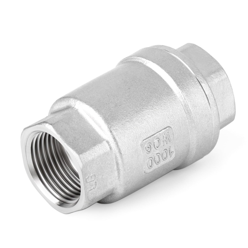 ERGAOBOY Vertical Check Valve, 1/4" BSP Female SUS 304 Vertical
