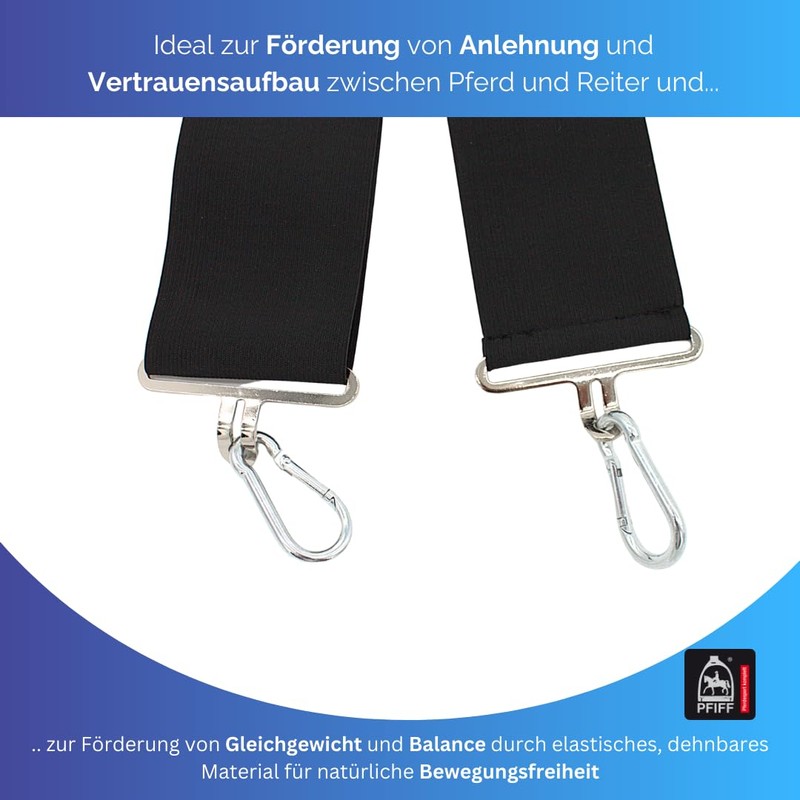 PFIFF 103117 Lungier and Training System Elastic, Training Band for