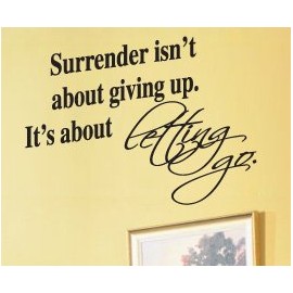 Vinyl Wall Sticker Art Decor Quote Decal Lettering Inspirational Let Go J21