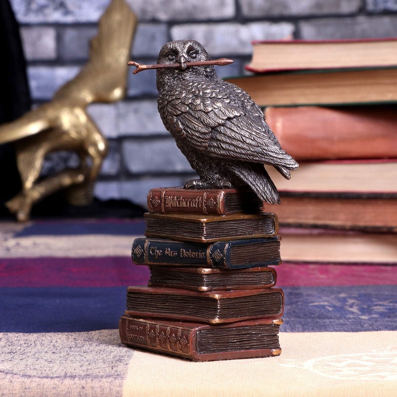 Nemesis Now Bronze Spellcraft Witches Familiar Owl on Book Figure