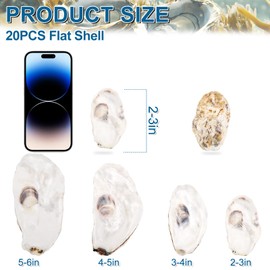 20PCS Flat Oyster Shells 2"-3" Small Oyster Shells for Crafts Natural Oyster Shells Bulk, for Home Vase Filler, Xmas Ornaments, DIY Arts and Crafts Sea Shells