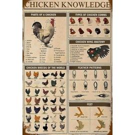 Chicken Knowledge Chicken Decor Metal Tin Sign Chicken Coop Signs Wall Decor Breeds Of Chickens Retro Farm Chicken Signs For Coop Funny Outdoor Decorations Parts Of Chicken Wing Anatomy Types Combs 8x12 inch