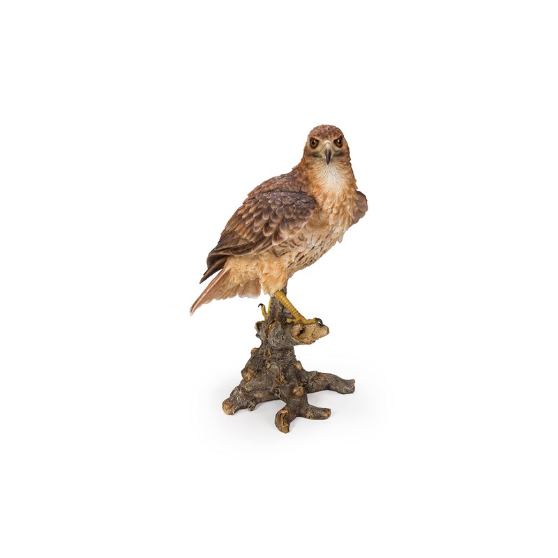 Hi-Line Gift Ltd. Wild Hawk Standing on Branch Garden Statue