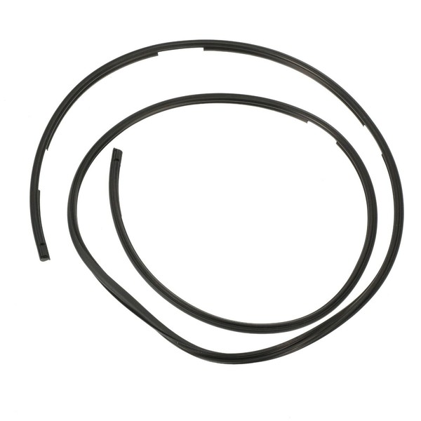 Mopar 68194942AA SEAL SUNROOF GLASS