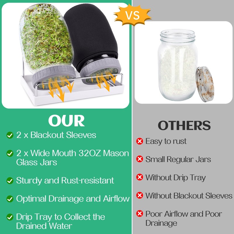 Kikerike Seed Sprouting Jar Kit with 2 Wide Mouth Mason