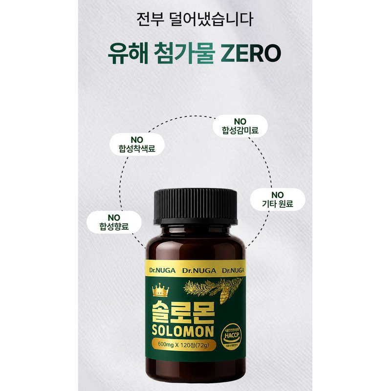 Dr. NUGA 국산 솔잎 추출물 솔로몬 정, 120회분, 2세트 Dr.