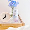 AYURA Rhythm Concentrate α, 1.4 fl oz (40 ml) <