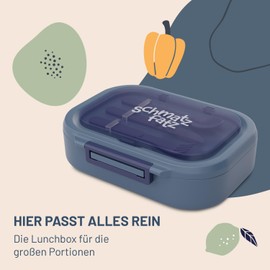 schmatzfatz Lunchbox, Unterteilte Brotdose für Erwachsene & Kinder, Lunchbox mit Fächern, Bento-Box für Schule & Kita, BPA-Freie Schuldose Auslaufsicher & Spülmaschinenfest, Jausenbox Unterteilt