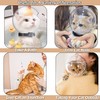 Podoy Cat Transparent Muzzle,Breathable Cat Hood, Adjustable Kitten Astronaut Helmet