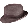 Bailey 1922 Craig Braided Fedora - Java Bean/M