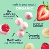 GERBER® Organic Yogurt Melts® Red Berry Toddler Snack 28 g