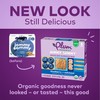 Plum Organics Jammy Sammy Snack Bars - Blueberry and Oatmeal