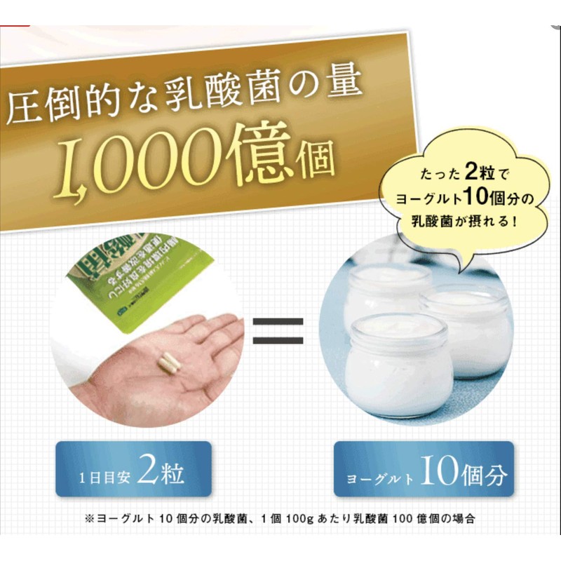 【機能性表示食品】乳酸菌革命プレミアム [ 腸内環境ケア 乳酸菌サプリ ビフィズス菌BB536 ラブレ菌 ガセリ菌 16種類3兆個の乳酸菌 短鎖脂肪酸 ]