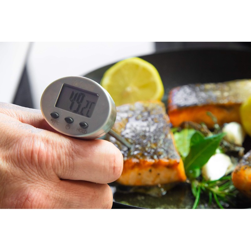 Taylor Digital Kitchen Thermometer with Protective Case for Meat, Fish