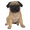 Vivid Arts XRL-PUGG-D Pug Dog Beige Resin Garden Decoration