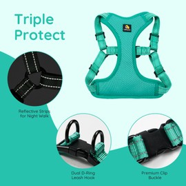 BELLA & PAL Dog Harness with Leash Set, Adjustable Step-in Puppy Harness for Extra-Small/Small Medium Dogs, No Pull Breathable Vest Reflective Harness with Leash D-Ring (Green, S (Chest: 15-19"))