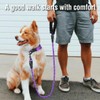 COOYOO Dog Leash 5/6 FT with Comfortable Padded Handle and