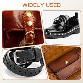 Alritz 240 Sets Leather Rivets, Double Cap Rivets Tubular 4 Colors 2 Sizes Metal Studs with Fixing Tools for DIY Leather Craft/Clothes/Shoes/Bags/Belts Repair Decoration