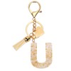 PATIKIL Alphabet Initial Letter Keychain, Resin Cute Keychains with Tassel