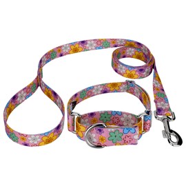 Country Brook Petz - May Flowers Martingale Dog Collar and Leash - Floral Collection Featuring Charming Designs (1 Inch, Medium)