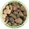 Natural Health 4 Life Caramelised Cocoa Raspberry Almond Nuts 300