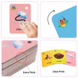52 Pcs Toddler Ocean Animal Flash Card,Sight Words with Picture Kids Marine Animals Preschool Flash Cards Learning Activities with Ring(Marine Animals)