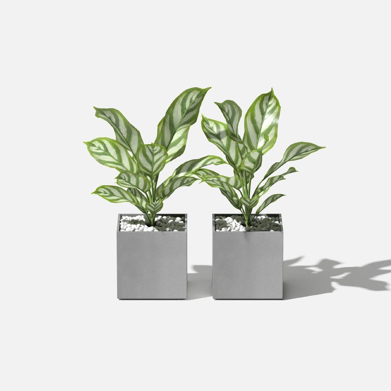 Veradek Forma Cube 5" Planter for Indoor or Outdoor Use