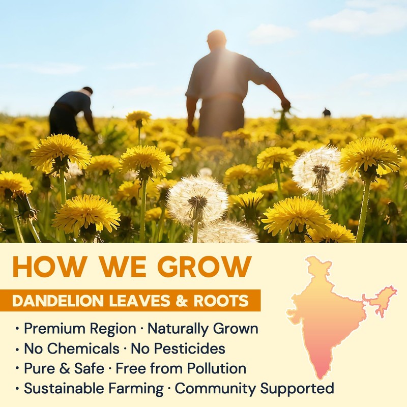 Dandelion Leaf & Root Herbal Tea-Caffeine-free, 50 Teabags