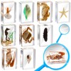 Rotatingpals 9 Pcs Marine Life Specimen Set Ocean Animal Insect