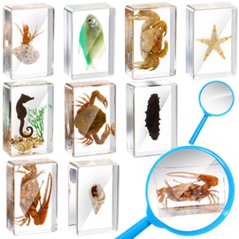 Rotatingpals 9 Pcs Marine Life Specimen Set Ocean Animal Insect in Resin Specimen Bugs Collection Paperweights with Magnifier Marine Animal Specimens for Scientific Educational Display Collection