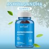Ashwagandha Gummies, Ashwagandha & Vitamin D Gummy - Mixed Berry,