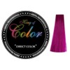 Resta Professional King of Color Direct Colour Pink Red 100