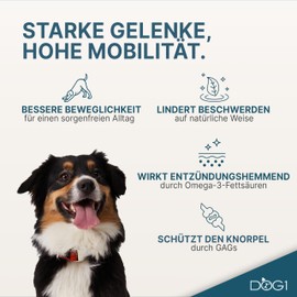 DOG1 Green-lipped Mussel Powder for Dogs - Made in Germany - 100% Natural & Full Fat with Omega 3 - Green-Lipped Mussel Dog Supports Joints & Mobility - Developed by Veterinarians