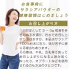 nichie サラシア 100% インド産 パウダー 100g