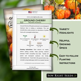 Sow Right Seeds Sow Right Seeds - Ground Cherries Seeds for Planting - Non-GMO Heirloom Packet with Instructions to Plant an Outdoor Home Vegetable Garden - Mexican Husk Tomato - Endangered Variety (1)