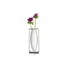 Philippi Float Vase Tall